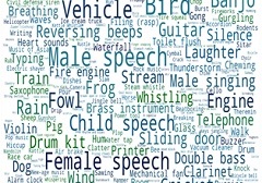 Hive dataset