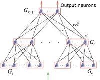 WTA network