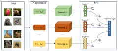 knowledge distillation