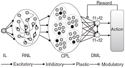 reservoir network